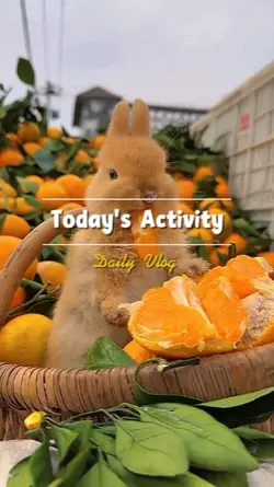 Today's Activity