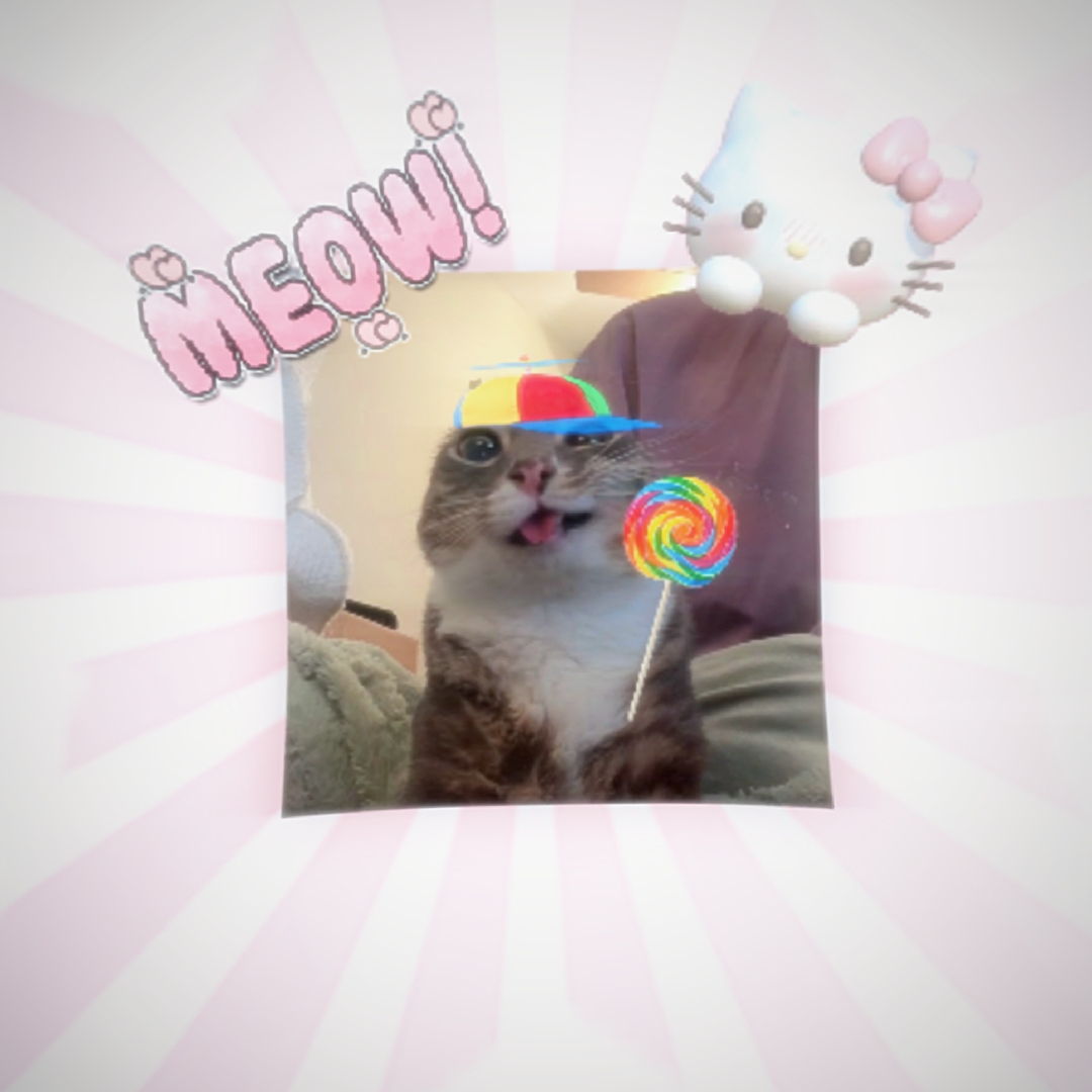 Meong Meong