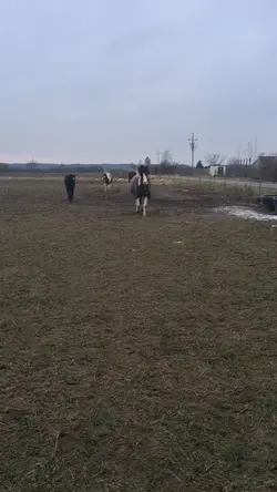4K SLOWMO