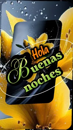 Bendecida noche 