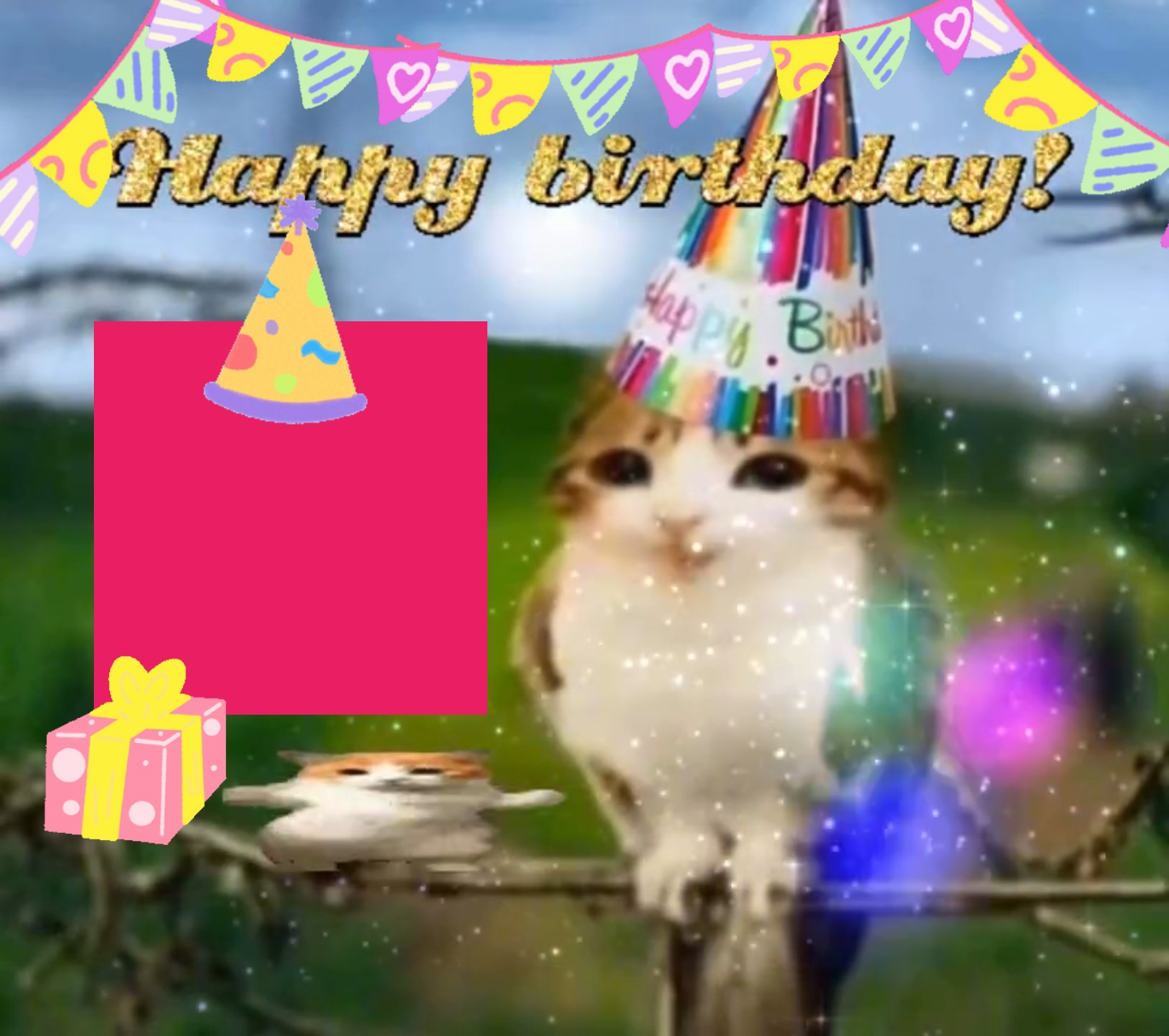 Aniversário 