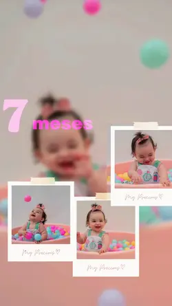 7 meses 