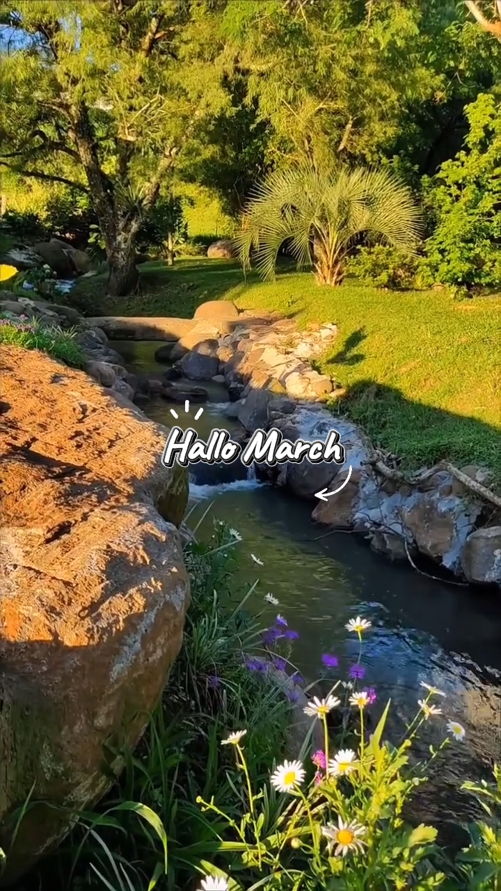 Hallo March