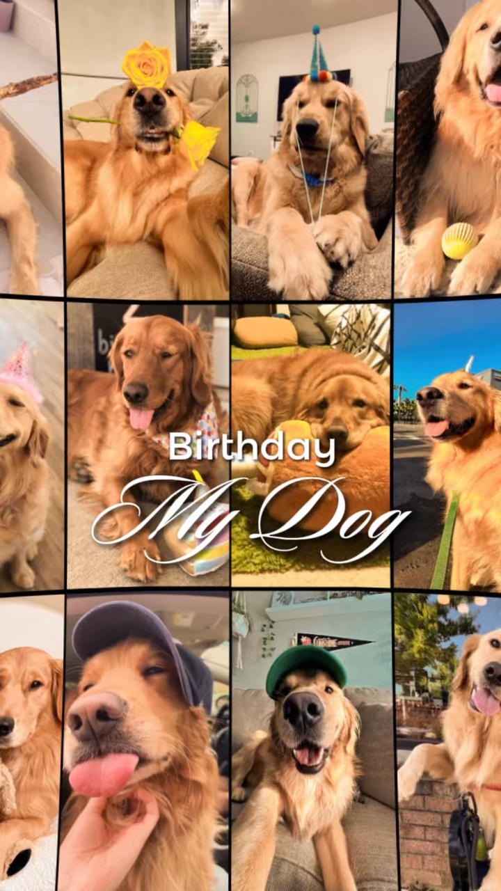 Birthday My Dog 