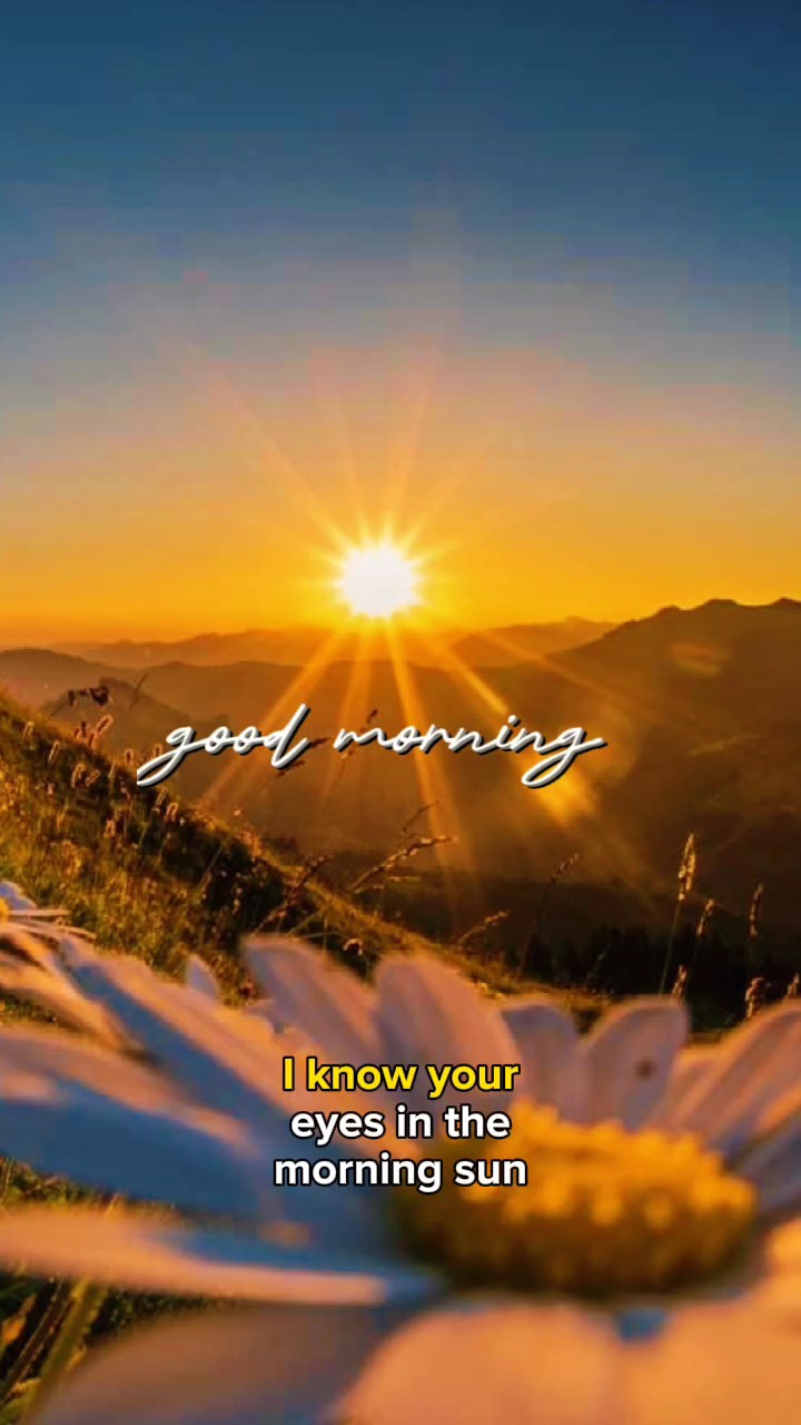 Good morning 