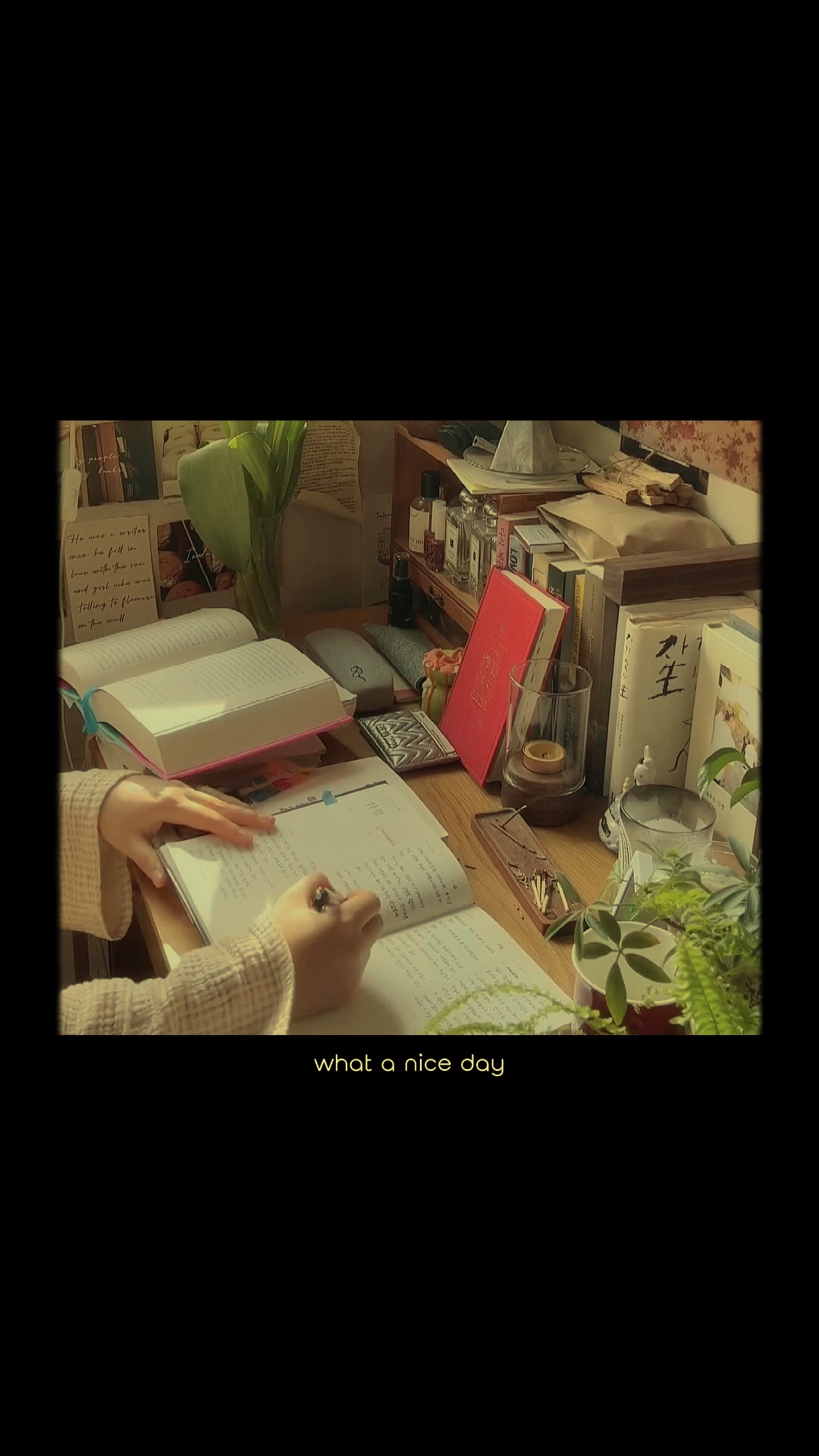 ✩ [20] video film ✩