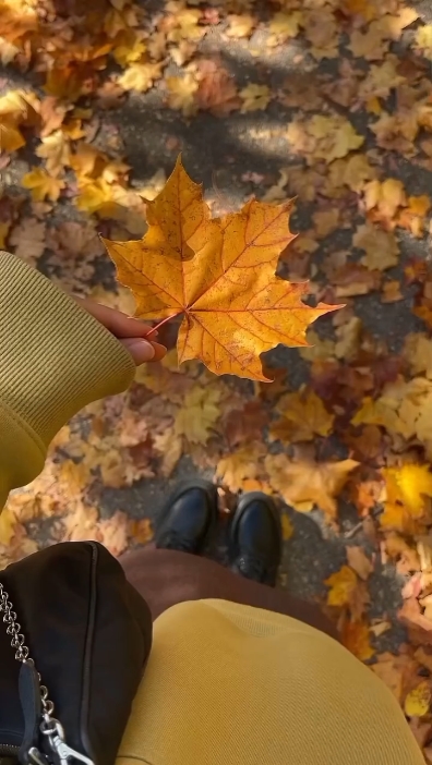 Hojas de otoño