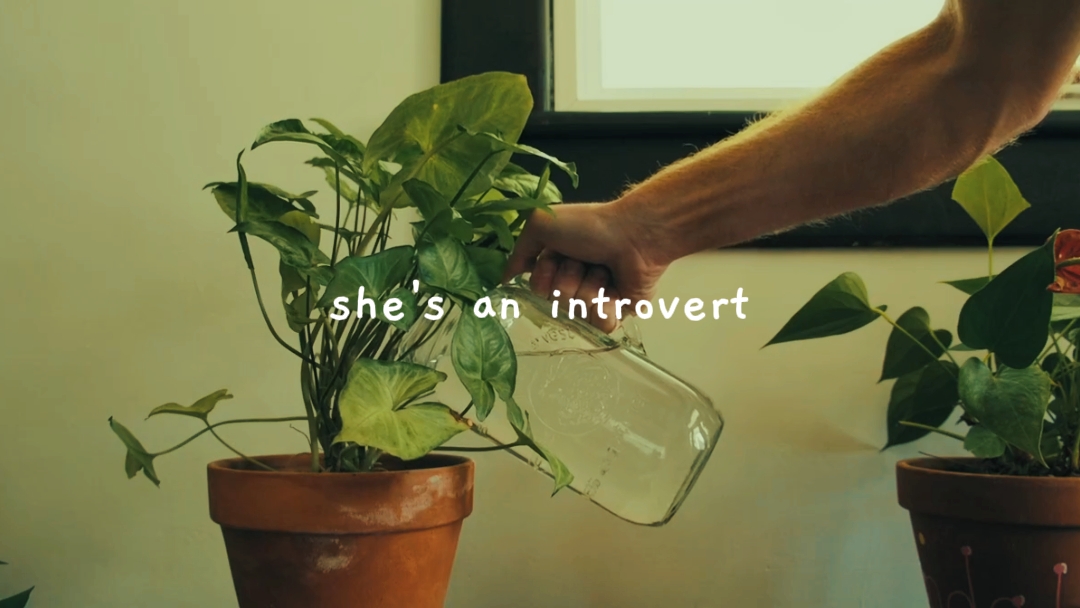 Dia seorang introvert 