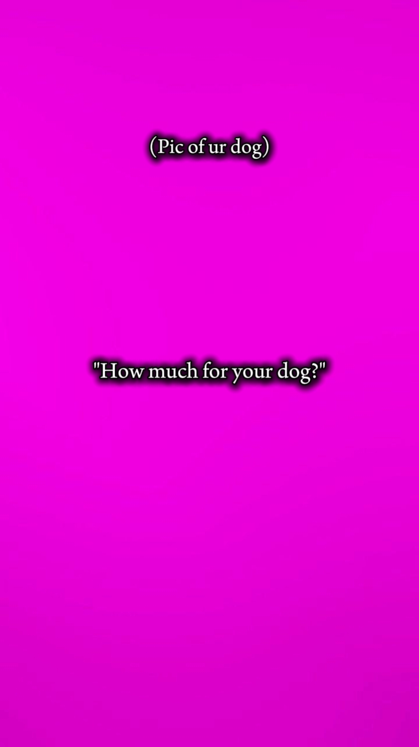 dog