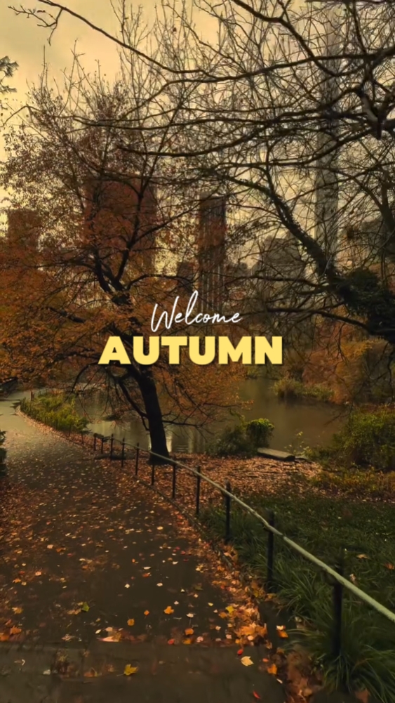 Herbst-Dump 