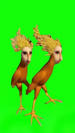 Chicken Noodle Soup