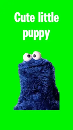Cute Puppy Doggy