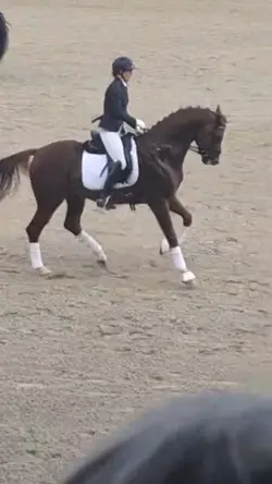 Horsieee