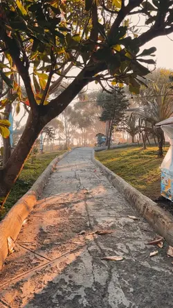 2019 