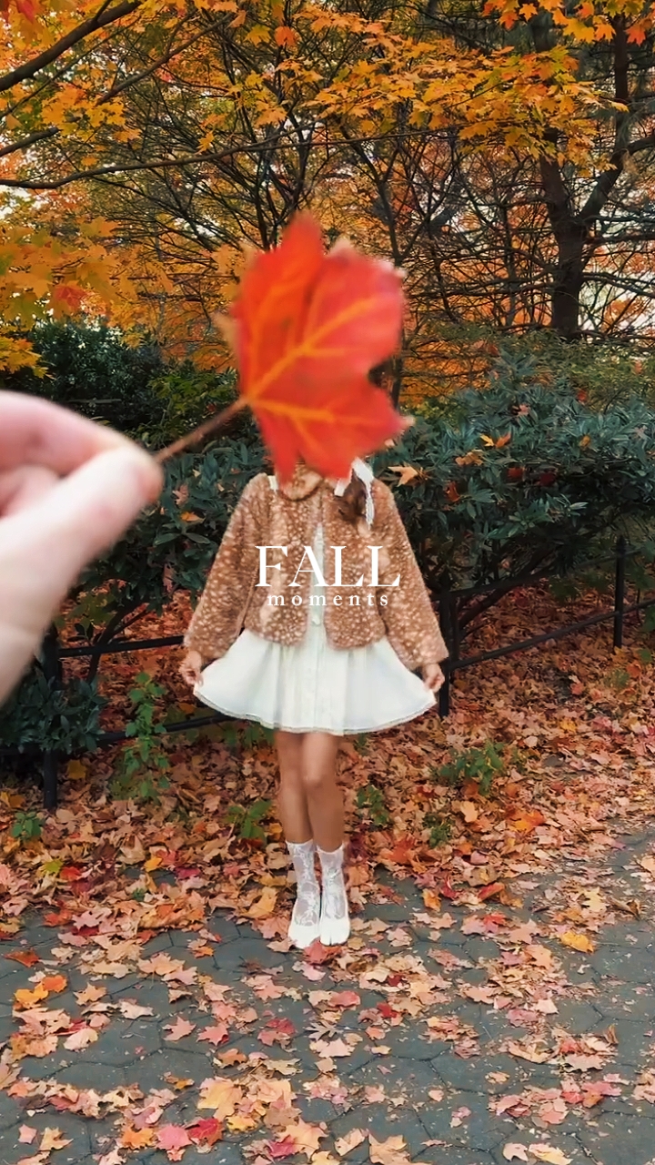 fall moments
