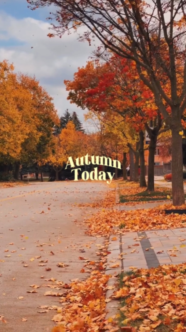 L'automne aujourd'hui