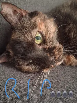 RIP