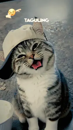 lirik estetik