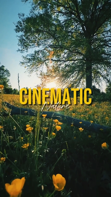 NATURALEZA CINEMÁTICA
