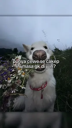 punya cewe se cakep