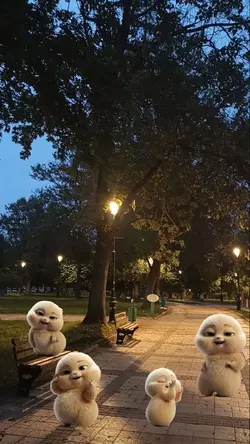 dancing pokko