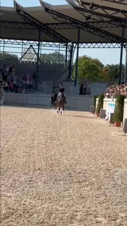 dressage riding slom
