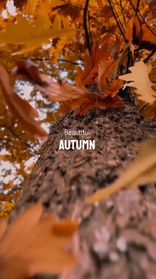 Herbst 2024