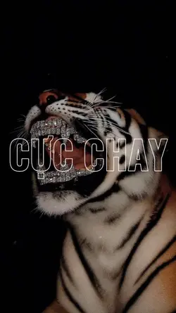 MAU CHAY