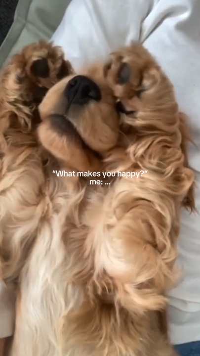 Te hace feliz