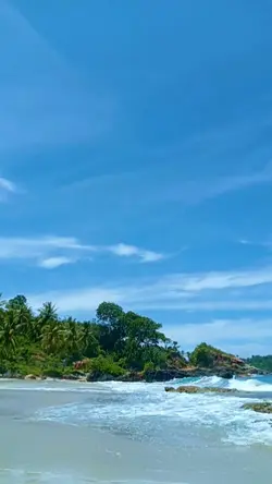 kata bijak