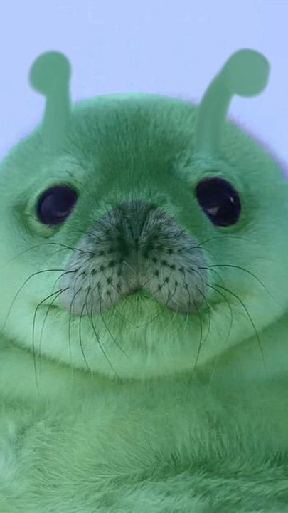 Katseye wallpape