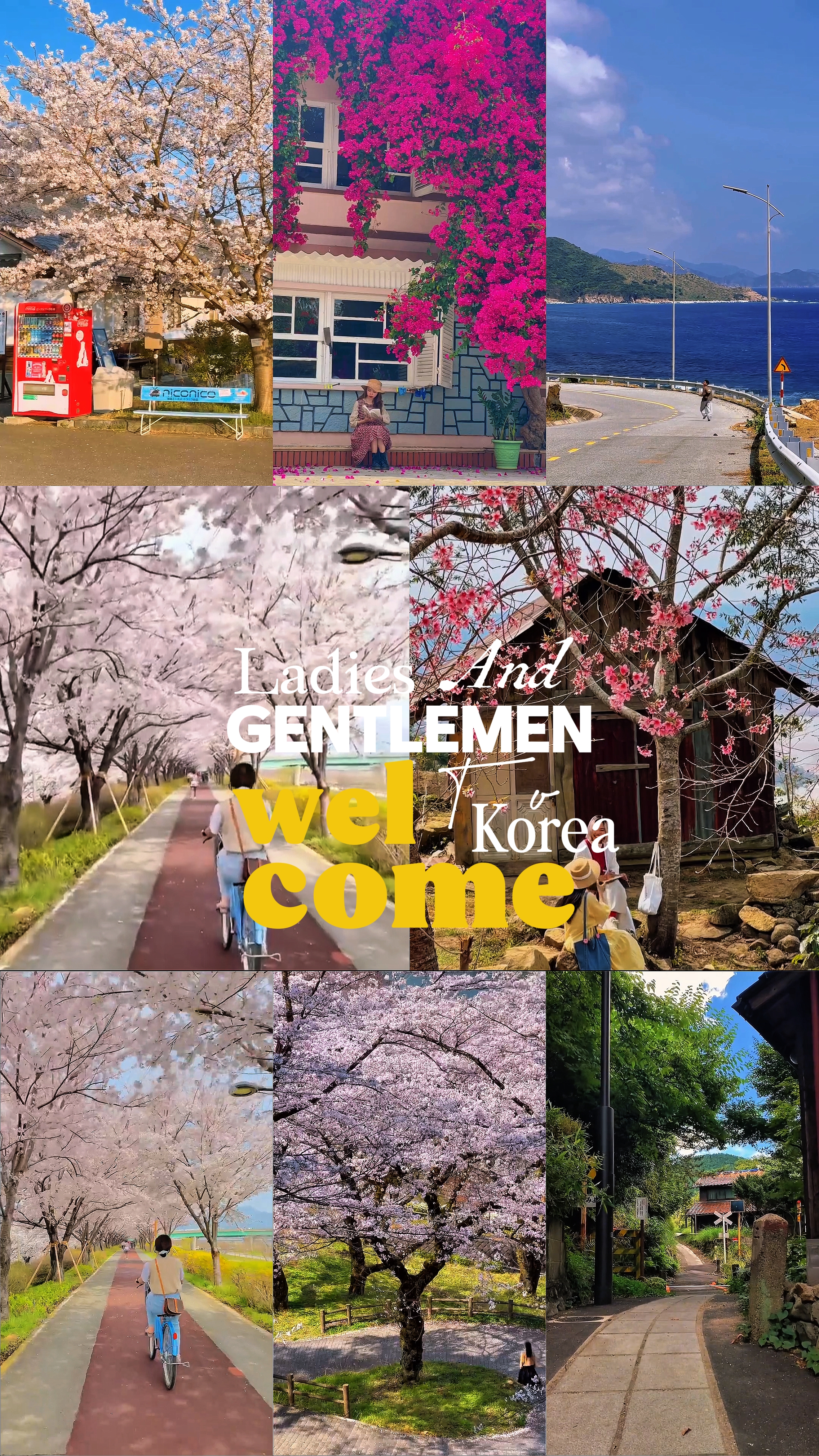 Welcome To Korea