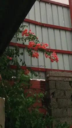 Trời tháng tư