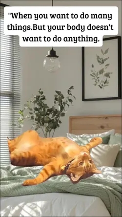 im lazy today