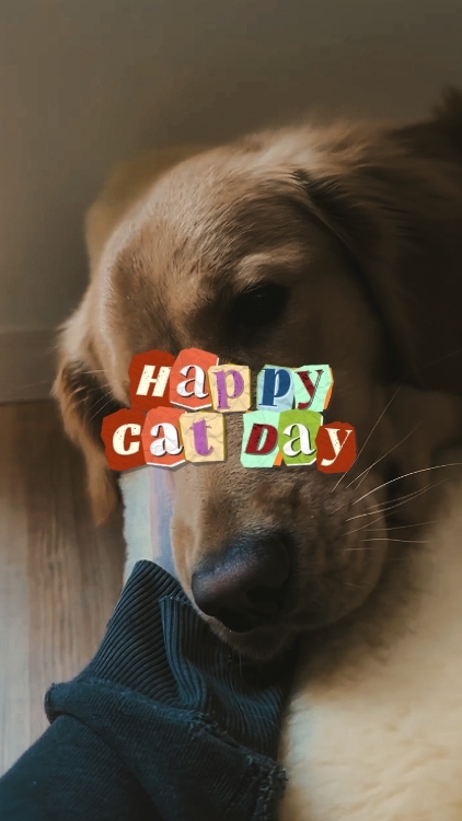 HAPPY CAT DAY 