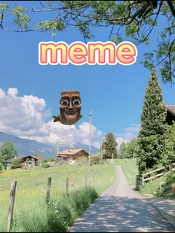 meme