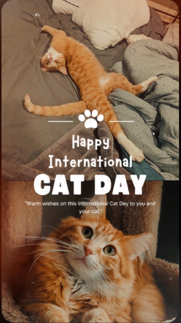Cat Day 2026