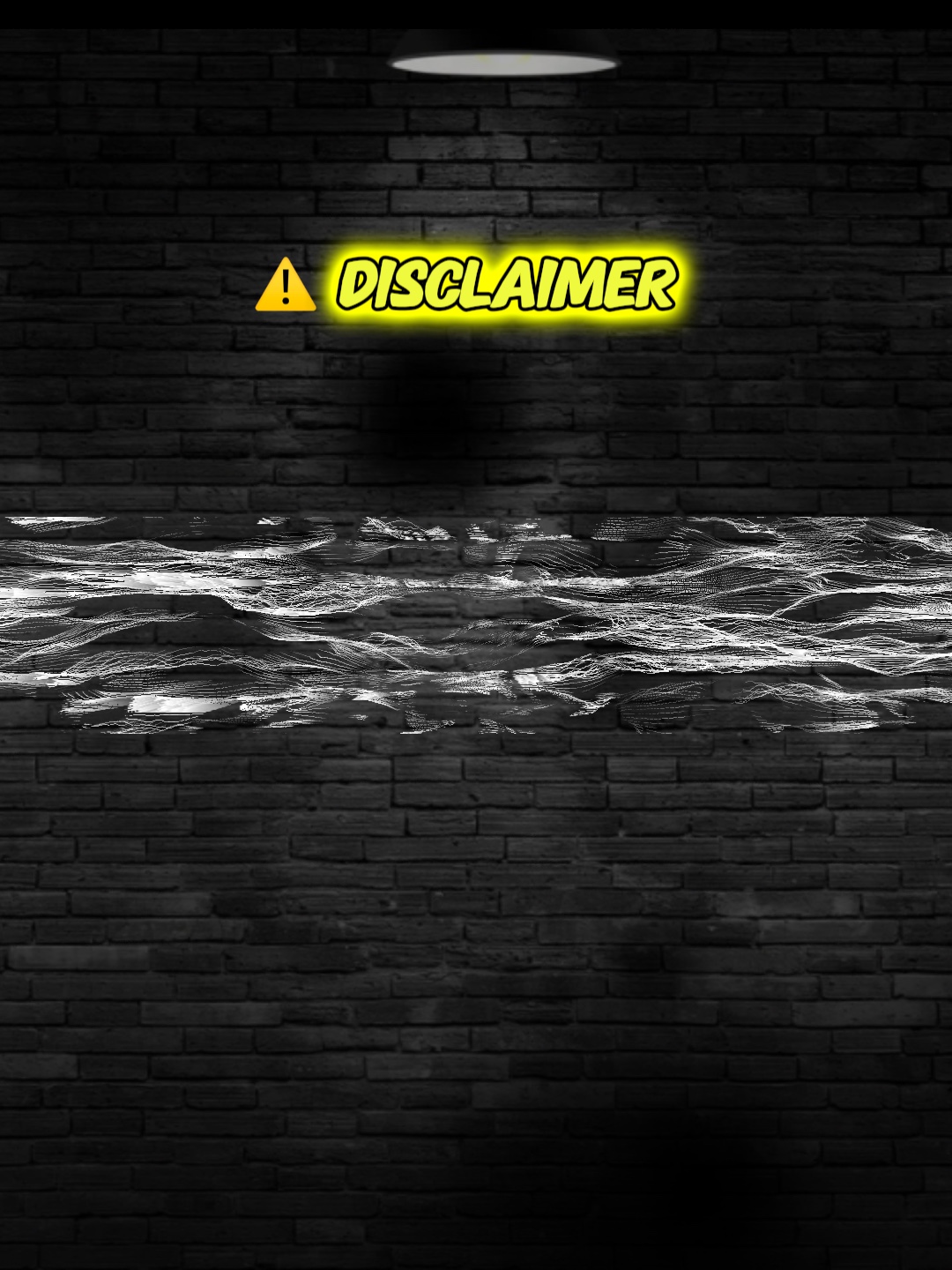 Disclaimer 