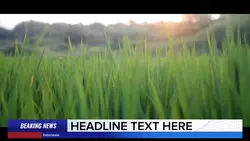Breaking News