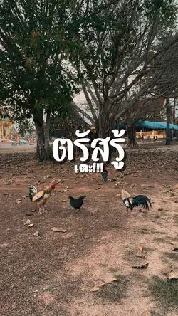 ตรัสรู้ยัง