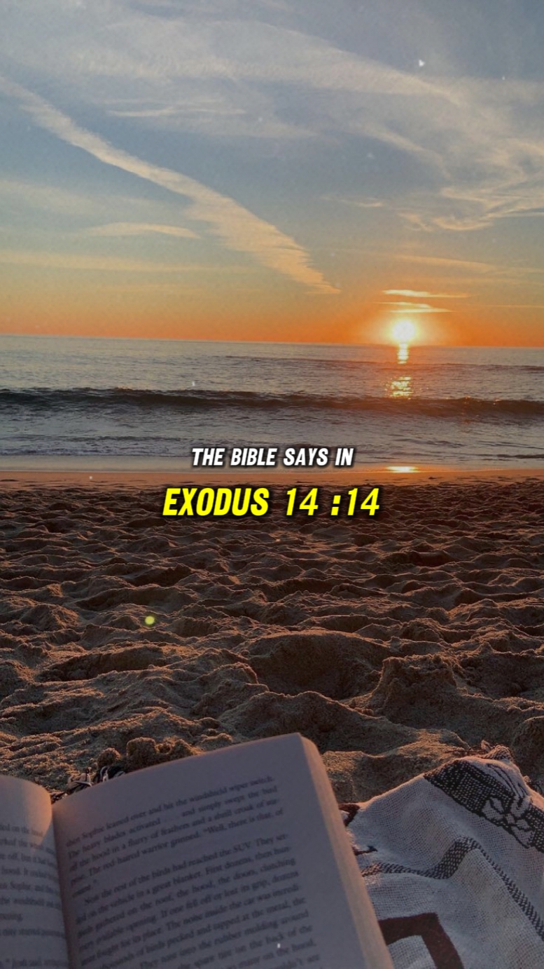 Êxodo 14: 14