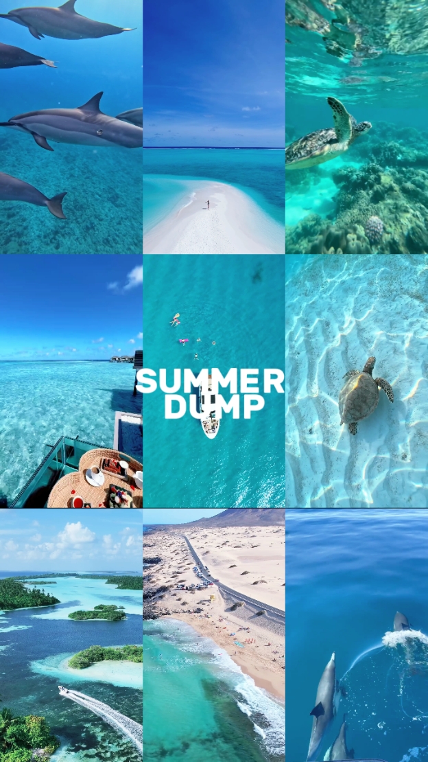 DESPEJO DE VERÃO
