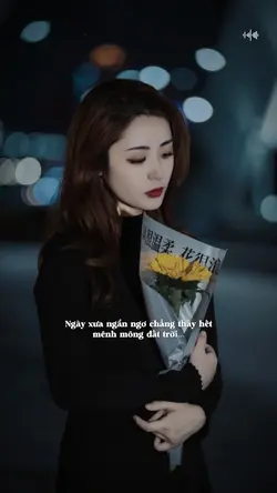 Đêm qua ta mơ như đi