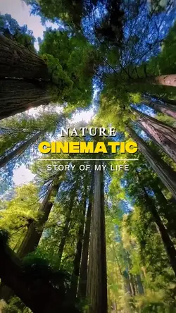 nature cinematic