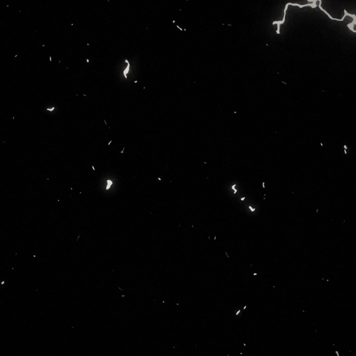 DARK NIGHT EDIT
