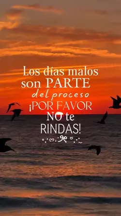 No te rindas!🤍