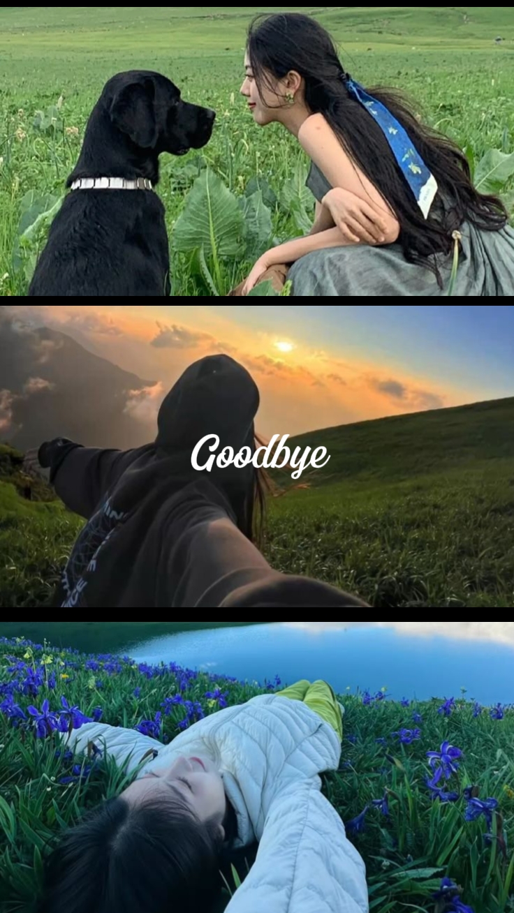 Adiós 2025