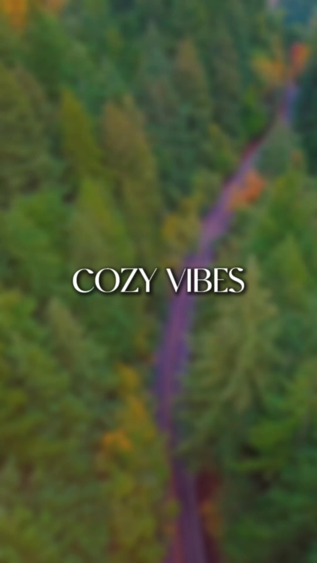Cozy Vibes