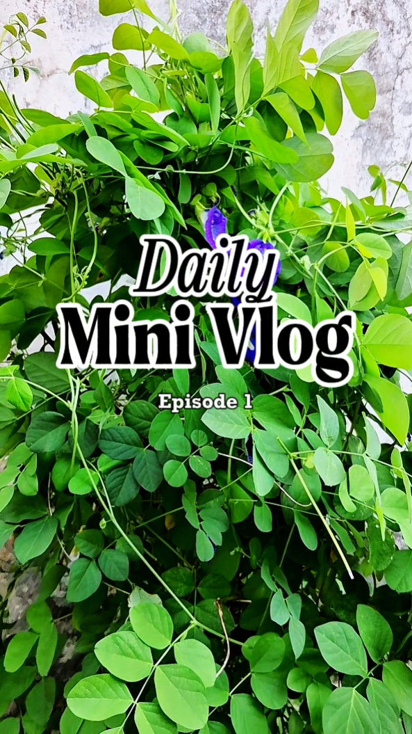 vlog