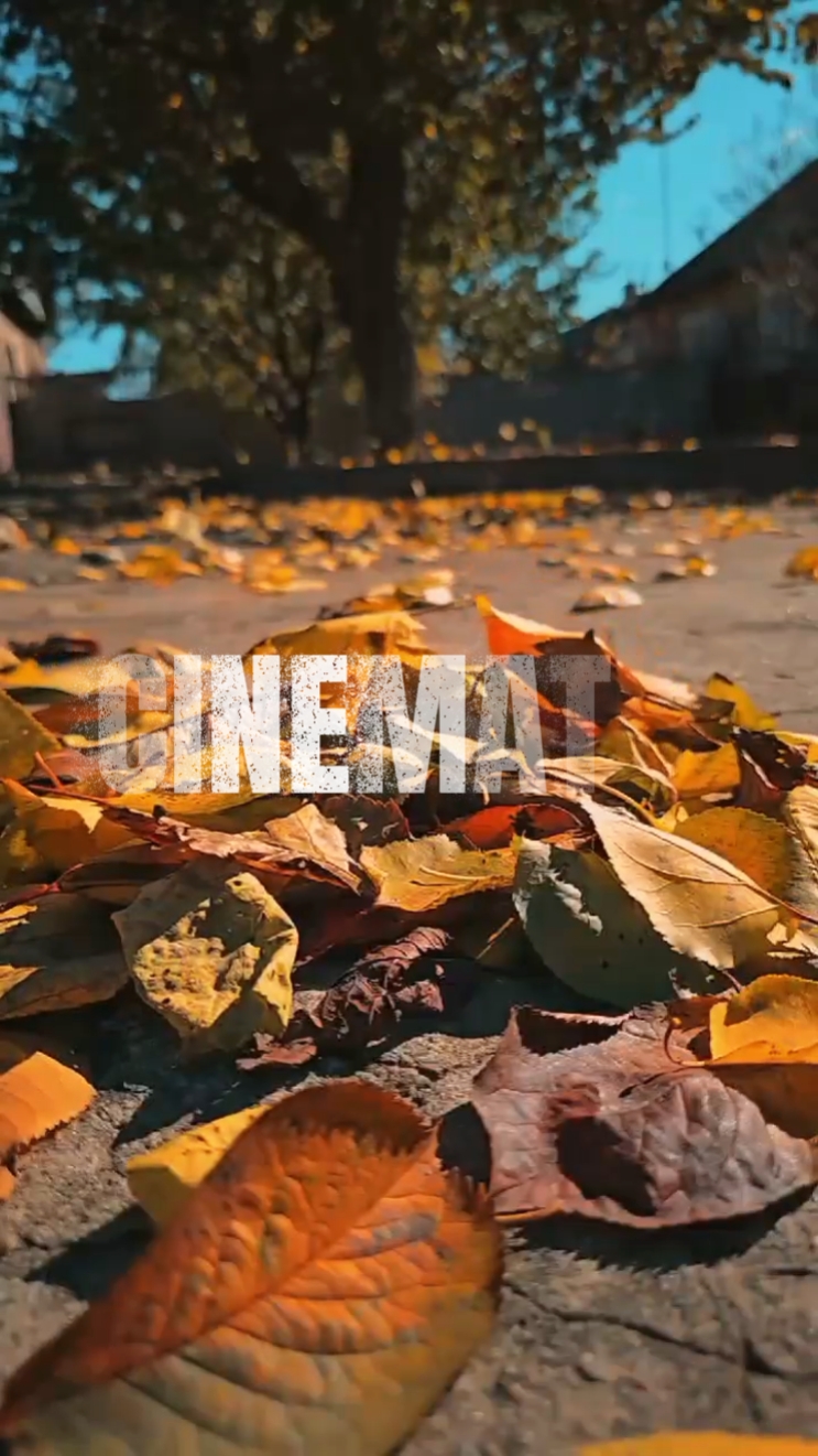 CINEMATIC SLOWMO